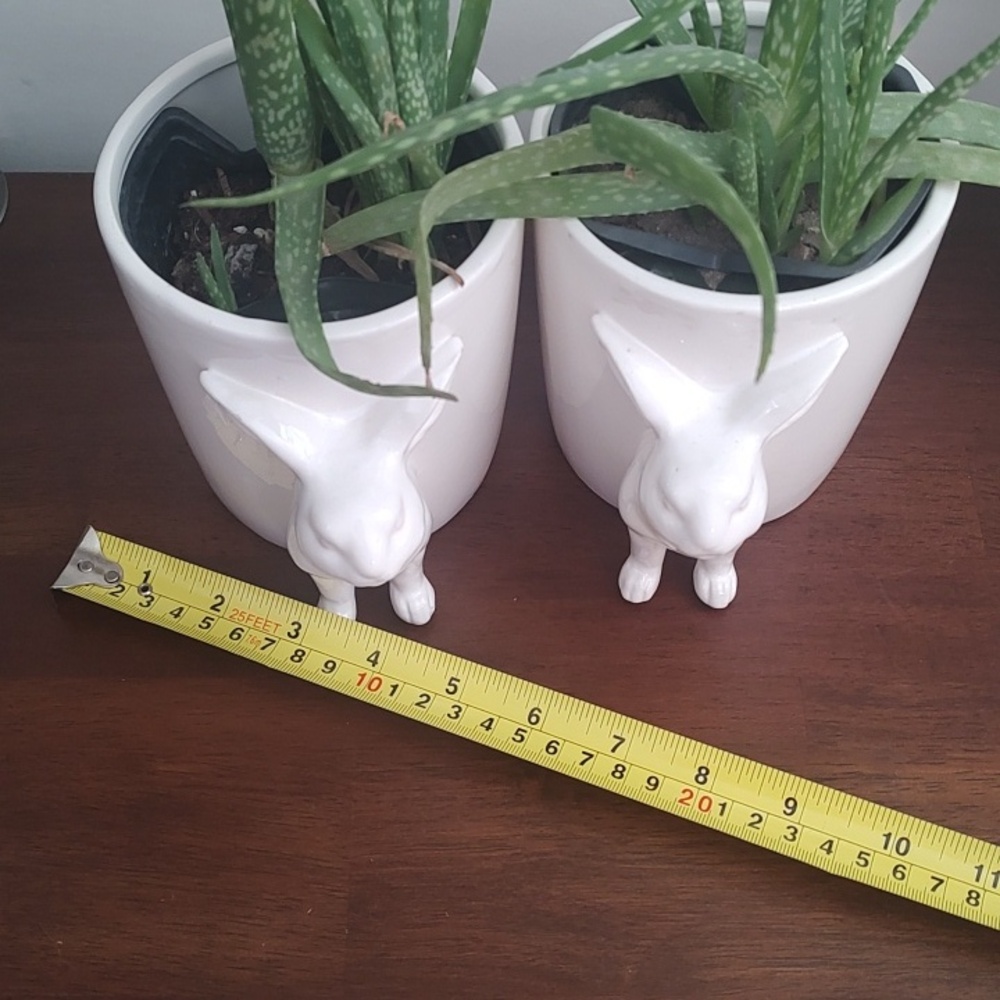 Bunny Rabbit Planters Small Set 2 - Picture 3 of 10